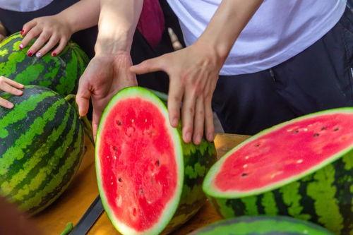 高校吃瓜网,揭秘校园热点事件，带你领略青春风采