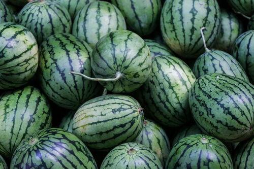 吃颜色瓜网,尽享瓜果盛宴——吃颜色瓜网带你领略瓜界奇观