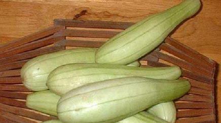 吃颜色瓜网,尽享瓜果盛宴——吃颜色瓜网带你领略瓜界奇观