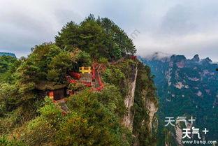 吃瓜网张家界,吃瓜网带你探索神秘山城美食之旅
