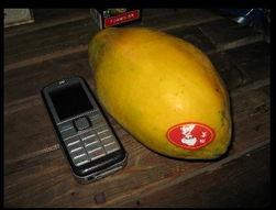 吃瓜台湾网红是谁呀,吃瓜台湾网红是谁？揭秘网络红人的神秘面纱