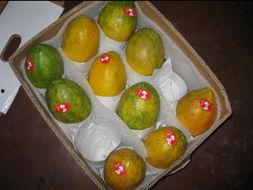 吃瓜台湾网红是谁呀,吃瓜台湾网红是谁？揭秘网络红人的神秘面纱