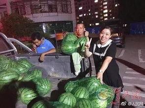 吃瓜网快递,揭秘快递行业的最新动态与趋势