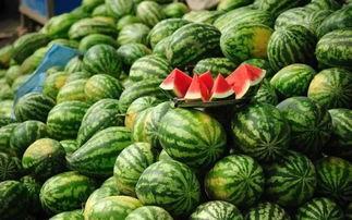 善堂网红吃瓜事件