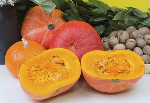 吃瓜黄料视频网红网站