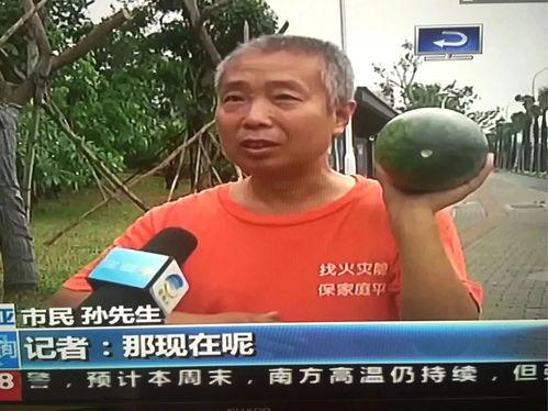 网红吃瓜事件赤木