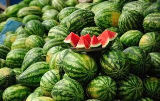 珠海网红吃瓜事件真相,揭秘背后真相与网络舆论风暴