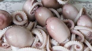 网红八爪鱼吃瓜事件真相,真相背后引人深思