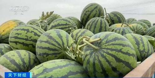 最新百万网红吃瓜图片,吃瓜现场揭秘！