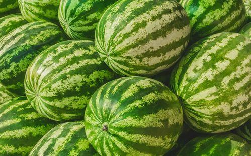 网红吃瓜视频怎么找的,探寻热门话题背后的生成奥秘