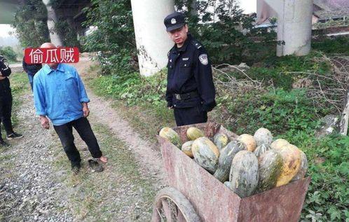 甘谷网红吃瓜事件真相揭秘,揭秘背后真相与争议