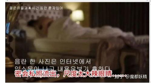 网红明星吃瓜视频网站,揭秘娱乐圈幕后故事