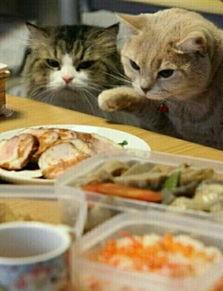 喵小吉 吃瓜爆炸网,揭秘娱乐圈幕后故事