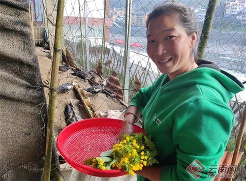 云南傈僳小伙吃瓜网,云南傈僳小伙的夏日吃瓜生活