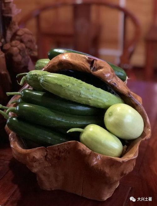 甘肃陇南网红吃瓜,甘肃陇南特色美食之旅