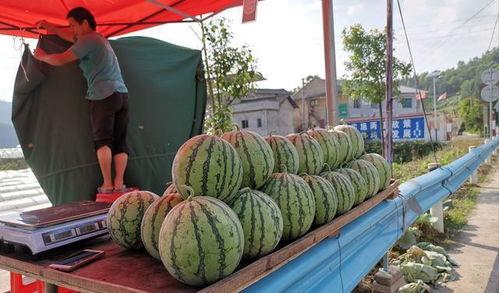 渭南网红吃瓜事件,揭秘网络舆论背后的真相与争议