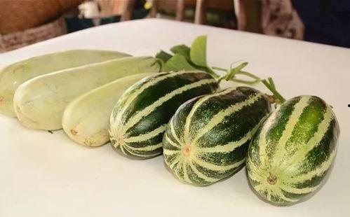 网红吃瓜qq图片大全,揭秘娱乐圈幕后真相