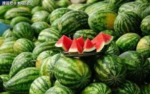 吃瓜网今日官网