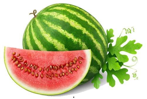 吃瓜网今日官网