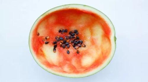 吃瓜网红小勺子图片,网红美食新风尚