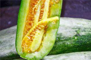 网红吃瓜网站在线