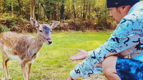 长乐网红小鹿姐姐吃瓜事件,揭秘网络红人的争议瞬间