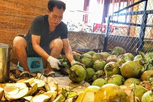 三亚吃瓜网红事件,一场网络舆论的风暴与反思