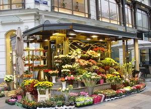 唐山花店吃瓜网,吃瓜网带你领略花艺与娱乐的完美融合