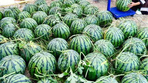 中国网红泰国吃瓜事件,揭秘中国网红在泰国的真实生活