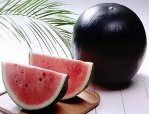 吃瓜黑暗官网,探寻网络舆论背后的真相与隐秘