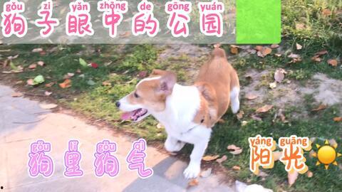 天天吃瓜网怎么打不开了,揭秘网站关闭背后的真相