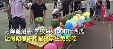 学生校网51吃瓜,揭秘校园生活那些事儿