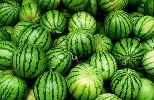 各种网红爆料吃瓜群合集,吃瓜群众热议娱乐圈风云