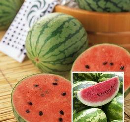 五千万粉丝的网红吃瓜,吃瓜界的风云人物