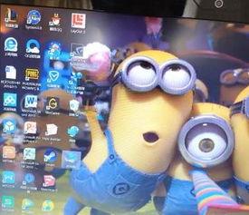 911吃瓜爆料官网小僵尸柚子猫,小僵尸柚子猫背后的故事