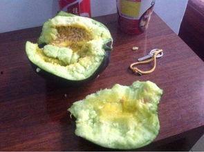 网红前十名吃瓜主播