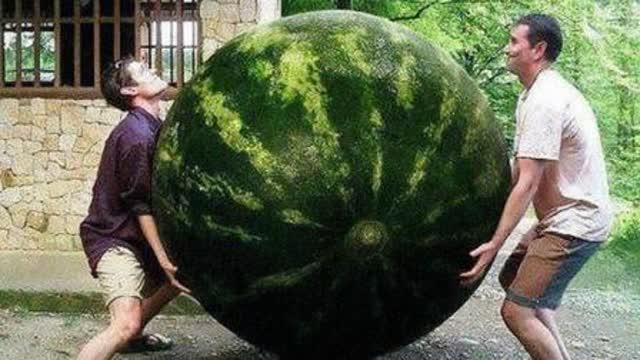 美国网红吃瓜事件真相是真的吗