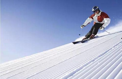 滑雪网红吃瓜视频大全