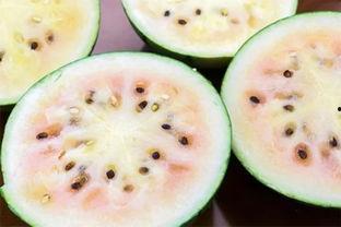 和县网红吃瓜事件真相揭秘,揭秘背后真相与争议