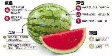 滨江网红吃瓜群微信,揭秘网络红人的幕后故事