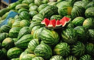 黑网料吃瓜网2024,揭秘网络暗流涌动的秘密世界  第3张