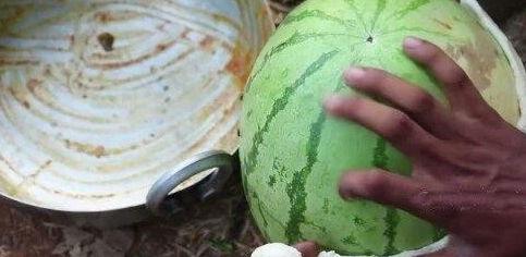 暗黑吃瓜网官网cgw  第3张