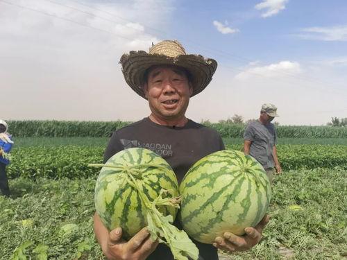 甘肃网红老头吃瓜