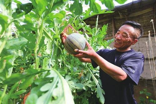 甘肃网红老头吃瓜  第2张