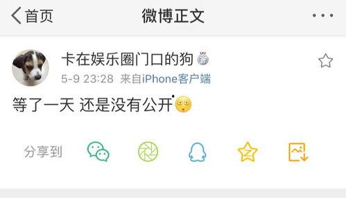 21吃瓜爆料官网,独家爆料，娱乐圈幕后真相大曝光  第3张