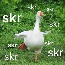 swag吃瓜网  第1张