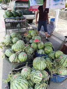 长沙吃瓜网红事件