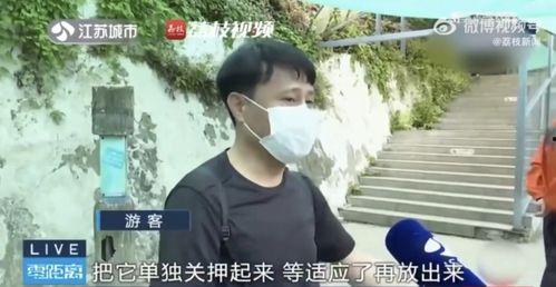 网红吃瓜跳舞是谁啊  第2张