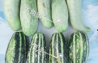 吃瓜原创网红是谁啊,网络红人的崛起之路